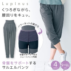 Lupinus ӂ pc fB[X ՂTb[gTG